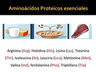 Arginina (Arg), Histidina (His), Lisina (Lys), Treonina
(Thr), Isoleucina (Ile), Leucina (Leu), Metionina (Met),
Valina (Val), fenilalanina (Phe), Triptófano (Trp)
 