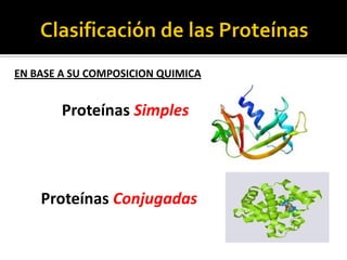 Proteínas Simples
Proteínas Conjugadas
EN BASE A SU COMPOSICION QUIMICA
 