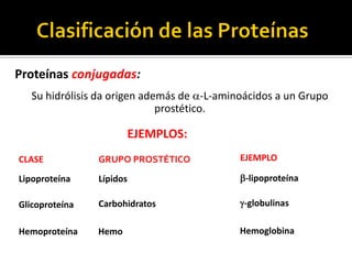 Proteínas conjugadas:
Su hidrólisis da origen además de -L-aminoácidos a un Grupo
prostético.
EJEMPLOS:
Lipoproteína -lipoproteínaLípidos
Glicoproteína -globulinasCarbohidratos
Hemoproteína HemoglobinaHemo
CLASE EJEMPLOGRUPO PROSTÉTICO
 