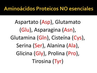 Aspartato (Asp), Glutamato
(Glu), Asparagina (Asn),
Glutamina (Gln), Cisteína (Cys),
Serina (Ser), Alanina (Ala),
Glicina (Gly), Prolina (Pro),
Tirosina (Tyr)
 