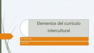 Elementos del currículo
intercultural
Ms. Angel Japón
11/01/2014
 