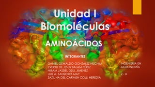 Unidad I
Biomoléculas
AMINOÁCIDOS
INTEGRANTES
DANIEL OSWALDO GONZALEZ HUCHIM
EVERTH DE JESUS BALAM PÉREZ
HIRAM JASSIEL DZUL JÍMENEZ
LUIS A. SANSORES MAY
ZAZIL HA DEL CARMEN COLLI HEREDIA
INGENIERÍA EN
AGRONOMÍA
2 - A
 