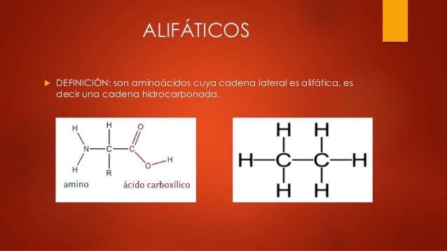 aminoacidos con cadenas alifaticas unidad i amino 225 cidos aminoacidos con cadenas alifaticas unidad i amino 225 cidos