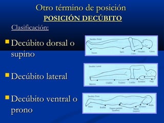 Otro término de posiciónOtro término de posición
 Decúbito dorsal oDecúbito dorsal o
supinosupino
 Decúbito lateralDecúbito lateral
 Decúbito ventral oDecúbito ventral o
pronoprono
POSICIÓN DECÚBITOPOSICIÓN DECÚBITO
Clasificación:Clasificación:
 