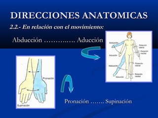 DIRECCIONES ANATOMICASDIRECCIONES ANATOMICAS
2.2.- En relación con el movimiento:2.2.- En relación con el movimiento:
Pronación ……. SupinaciónPronación ……. Supinación
Abducción ……….…. AducciónAbducción ……….…. Aducción
 