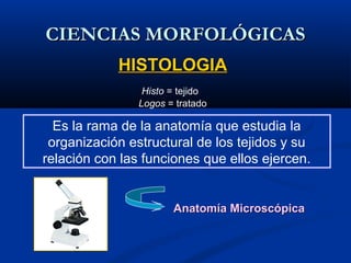 CIENCIAS MORFOLÓGICASCIENCIAS MORFOLÓGICAS
Histo = tejido
Logos = tratado
HISTOLOGIAHISTOLOGIA
Es la rama de la anatomía que estudia la
organización estructural de los tejidos y su
relación con las funciones que ellos ejercen.
Anatomía MicroscópicaAnatomía Microscópica
 