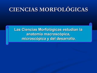 CIENCIAS MORFOLÓGICASCIENCIAS MORFOLÓGICAS
Las Ciencias Morfológicas estudian laLas Ciencias Morfológicas estudian la
anatomía macroscópica,anatomía macroscópica,
microscópica y del desarrollo.microscópica y del desarrollo.
Las Ciencias Morfológicas estudian laLas Ciencias Morfológicas estudian la
anatomía macroscópica,anatomía macroscópica,
microscópica y del desarrollo.microscópica y del desarrollo.
 