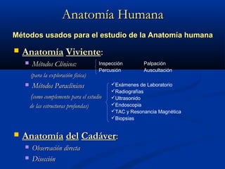 Anatomía HumanaAnatomía Humana
 AnatomíaAnatomía VivienteViviente::
 Métodos Clínicos:Métodos Clínicos:
(para la exploración física)(para la exploración física)
 Métodos ParaclínicosMétodos Paraclínicos
((como complemento para el estudiocomo complemento para el estudio
de las estructuras profundas)de las estructuras profundas)
 AnatomíaAnatomía deldel CadáverCadáver::
 Observación directaObservación directa
 DisecciónDisección
Inspección Palpación
Percusión Auscultación
Exámenes de Laboratorio
Radiografías
Ultrasonido
Endoscopia
TAC y Resonancia Magnética
Biopsias
Métodos usados para el estudio de la Anatomía humanaMétodos usados para el estudio de la Anatomía humana
 