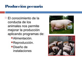 Producción pecuaria
 El conocimiento de la
conducta de los
animales nos permite
mejorar la producción
aplicando programas...