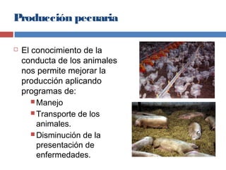 Producción pecuaria
 El conocimiento de la
conducta de los animales
nos permite mejorar la
producción aplicando
programas...