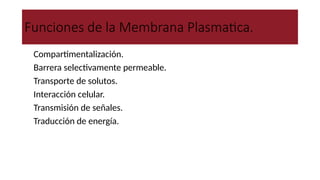 Funciones de la Membrana Plasmatica.
1. Compartimentalización.
2. Barrera selectivamente permeable.
3. Transporte de solutos.
4. Interacción celular.
5. Transmisión de señales.
6. Traducción de energía.
 