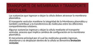 TRANSPORTE DE MEMBRANA Y TRANSPORTE
VESICULAR.
●Las sustancias que ingresan o dejan la célula deben atravesar la membrana
plasmática.
●El transporte vesicular mantiene la integridad de la Membrana plasmática y
también contribuye a la transferencia de moléculas entre los diferentes
compartimientos celulares.
●Algunas sustancias ingresan y dejan la célula mediante el transporte
vesicular, proceso que implica cambios de configuración en la membrana
plasmática.
●El mecanismo principal por el cual las moléculas grandes ingresan,
abandonan y se desplazan dentro de la célula se denomina brotación
vesicular.
 