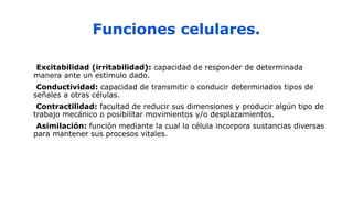 Funciones celulares.
1.Excitabilidad (irritabilidad): capacidad de responder de determinada
manera ante un estímulo dado.
2.Conductividad: capacidad de transmitir o conducir determinados tipos de
señales a otras células.
3.Contractilidad: facultad de reducir sus dimensiones y producir algún tipo de
trabajo mecánico o posibilitar movimientos y/o desplazamientos.
4.Asimilación: función mediante la cual la célula incorpora sustancias diversas
para mantener sus procesos vitales.
 