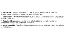 5. Excreción: función mediante la cual la célula elimina de su interior
sustancias de desecho producto de su metabolismo.
6. Secreción: actividad mediante la cual la célula vierte al exterior un producto
fabricado por ella.
7. Respiración: proceso mediante la célula obtiene energía mediante
reacciones del tipo de oxidación-reducción.
8. Reproducción: función mediante el cual la mayor parte de todas las células
se multiplican.
 