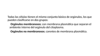 Todas las células tienen el mismo conjunto básico de orgánulos, los que
pueden clasificarse en dos grupos:
1. Orgánulos membranosos; con membrana plasmática que separan el
ambiente interno del orgánulo del citoplasma.
2. Orgánulos no membranosos; carentes de membrana plasmática.
 