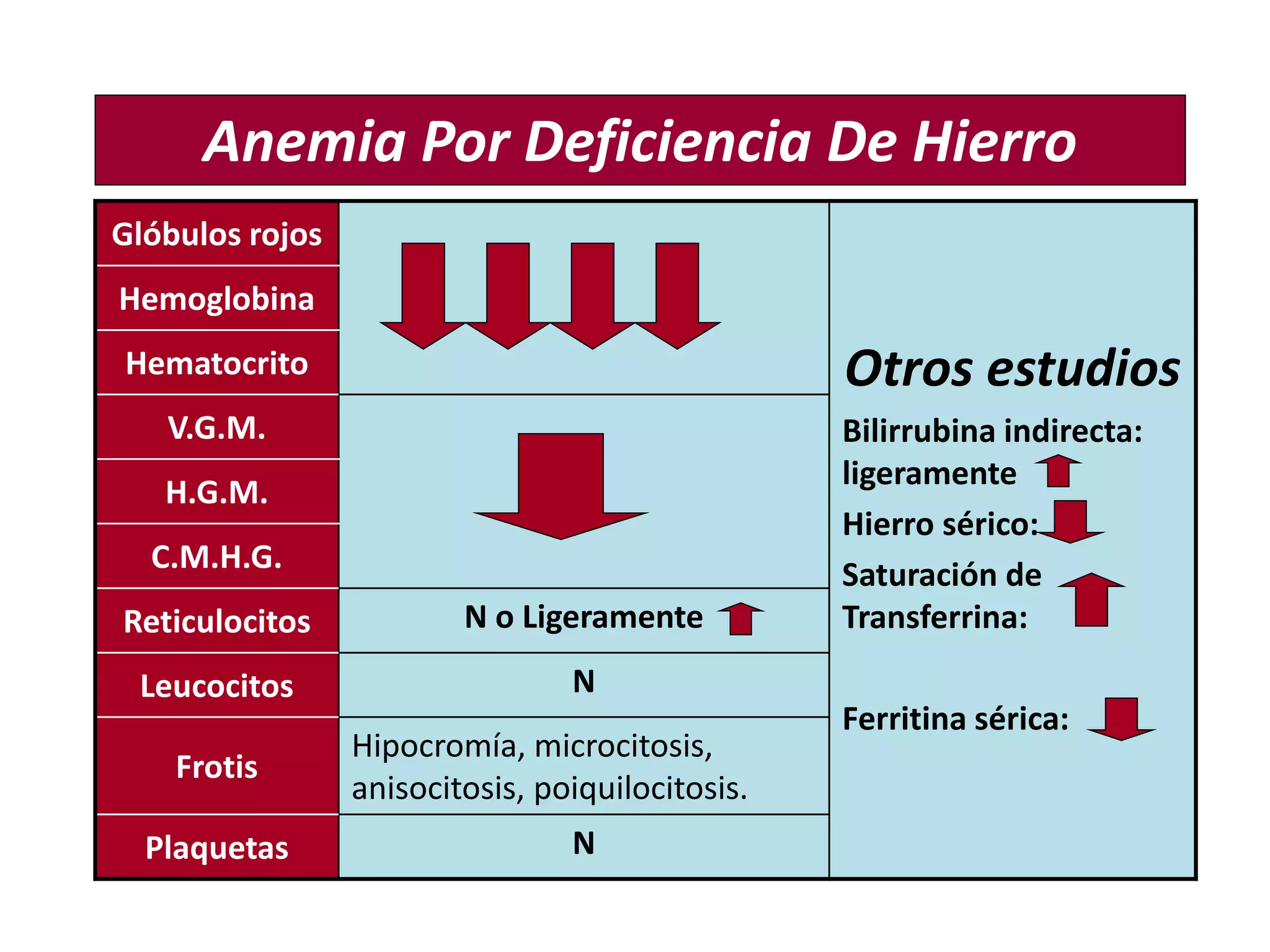Glóbulos rojos
Otros estudios
Bilirrubina indirecta:
ligeramente
Hierro sérico:
Saturación de
Transferrina:
Ferritina sérica:
Hemoglobina
Hematocrito
V.G.M.
H.G.M.
C.M.H.G.
Reticulocitos N o Ligeramente
Leucocitos N
Frotis
Hipocromía, microcitosis,
anisocitosis, poiquilocitosis.
Plaquetas N
Anemia Por Deficiencia De Hierro
 