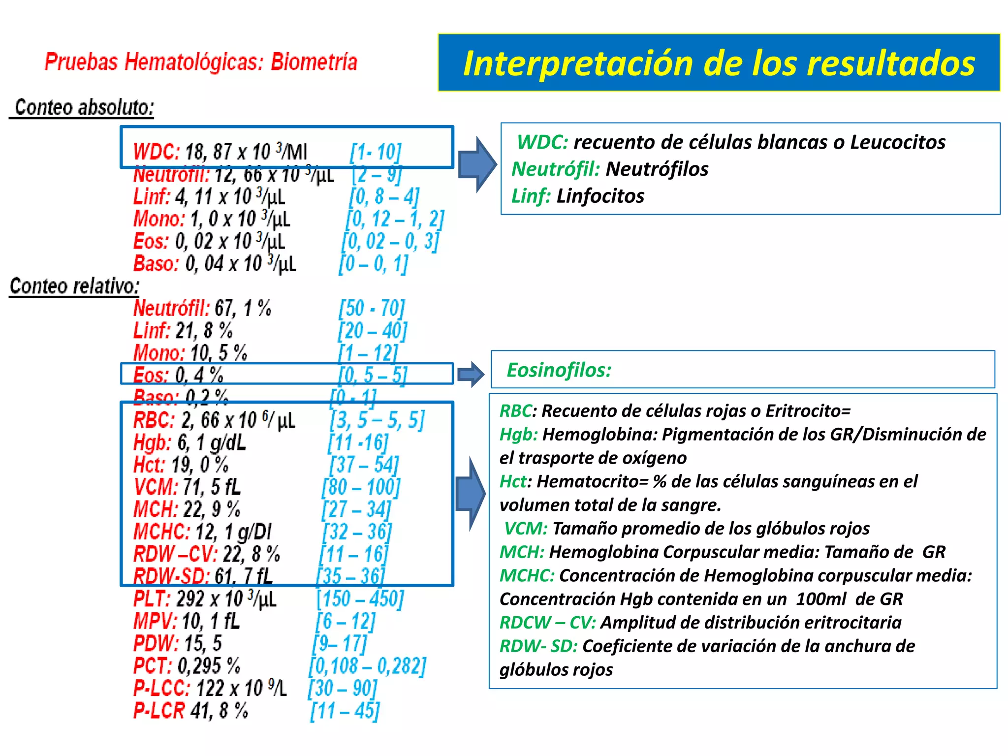 WDC: recuento de células blancas o Leucocitos
Neutrófil: Neutrófilos
Linf: Linfocitos
Eosinofilos:
RBC: Recuento de células rojas o Eritrocito=
Hgb: Hemoglobina: Pigmentación de los GR/Disminución de
el trasporte de oxígeno
Hct: Hematocrito= % de las células sanguíneas en el
volumen total de la sangre.
VCM: Tamaño promedio de los glóbulos rojos
MCH: Hemoglobina Corpuscular media: Tamaño de GR
MCHC: Concentración de Hemoglobina corpuscular media:
Concentración Hgb contenida en un 100ml de GR
RDCW – CV: Amplitud de distribución eritrocitaria
RDW- SD: Coeficiente de variación de la anchura de
glóbulos rojos
Interpretación de los resultados
 