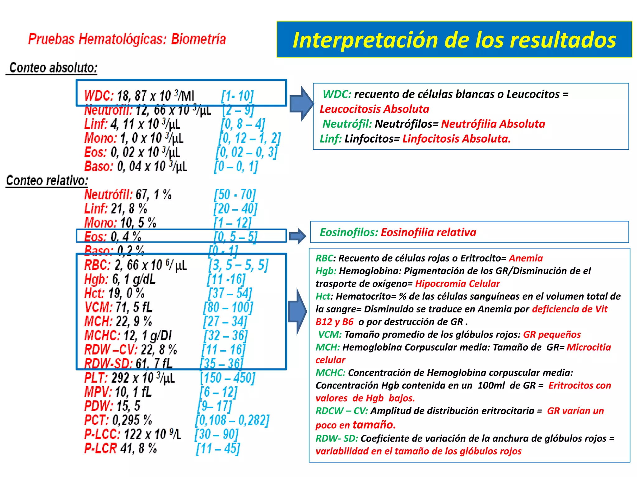 WDC: recuento de células blancas o Leucocitos =
Leucocitosis Absoluta
Neutrófil: Neutrófilos= Neutrófilia Absoluta
Linf: Linfocitos= Linfocitosis Absoluta.
Eosinofilos: Eosinofilia relativa
RBC: Recuento de células rojas o Eritrocito= Anemia
Hgb: Hemoglobina: Pigmentación de los GR/Disminución de el
trasporte de oxígeno= Hipocromia Celular
Hct: Hematocrito= % de las células sanguíneas en el volumen total de
la sangre= Disminuido se traduce en Anemia por deficiencia de Vit
B12 y B6 o por destrucción de GR .
VCM: Tamaño promedio de los glóbulos rojos: GR pequeños
MCH: Hemoglobina Corpuscular media: Tamaño de GR= Microcitia
celular
MCHC: Concentración de Hemoglobina corpuscular media:
Concentración Hgb contenida en un 100ml de GR = Eritrocitos con
valores de Hgb bajos.
RDCW – CV: Amplitud de distribución eritrocitaria = GR varían un
poco en tamaño.
RDW- SD: Coeficiente de variación de la anchura de glóbulos rojos =
variabilidad en el tamaño de los glóbulos rojos
Interpretación de los resultados
 