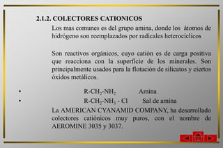 2.1.2. COLECTORES CATIONICOS
          Los mas comunes es del grupo amina, donde los átomos de
          hidrógeno son reemplazados por radicales heterocíclicos

         Son reactivos orgánicos, cuyo catión es de carga positiva
         que reacciona con la superficie de los minerales. Son
         principalmente usados para la flotación de silicatos y ciertos
         óxidos metálicos.

•                   R-CH2-NH2        Amina
•                   R-CH2-NH3 - Cl    Sal de amina
         La AMERICAN CYANAMID COMPANY, ha desarrollado
         colectores catiónicos muy puros, con el nombre de
         AEROMINE 3035 y 3037.
 