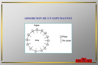 ADSORCION DE UN ESPUMANTES
 