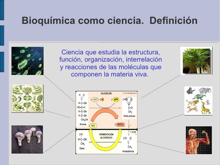 Bioquímica como Ciencia Bioquímica como Ciencia