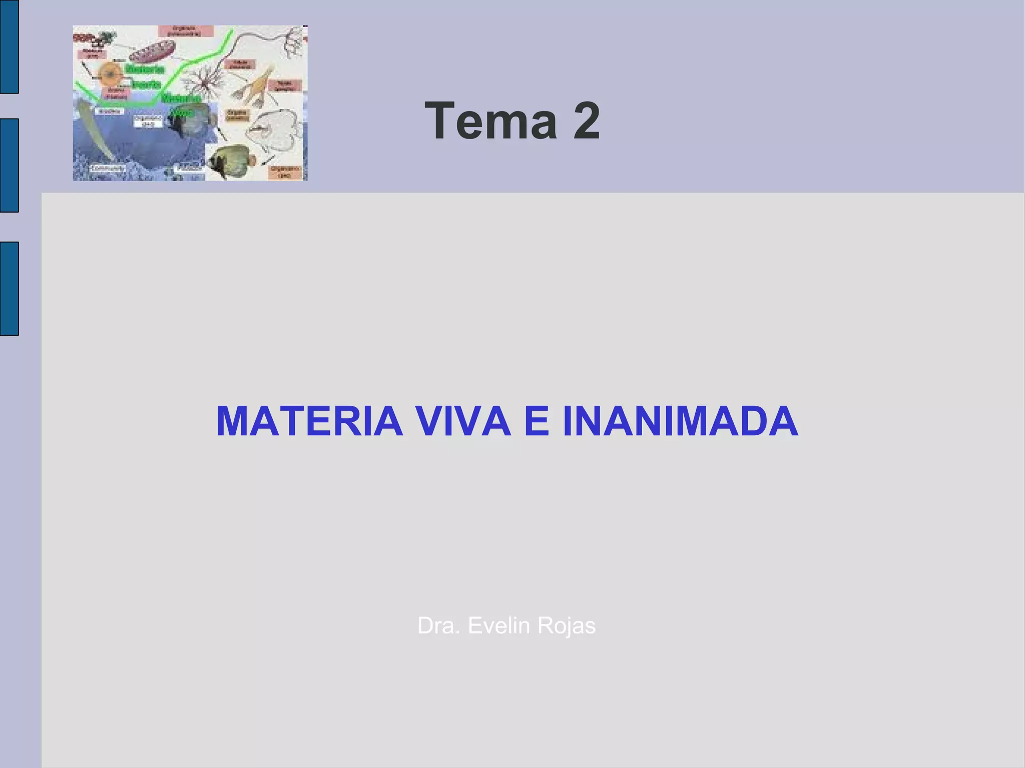O Que é Materia Inanimada - FDPLEARN