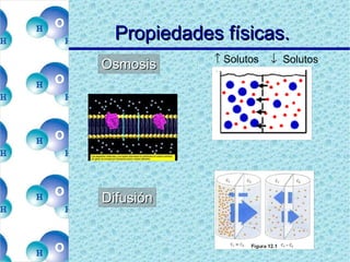 Propiedades físicas.  Osmosis    Solutos    Solutos Difusión 