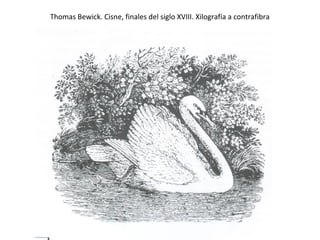 Thomas Bewick. Cisne, finales del siglo XVIII. Xilografía a contrafibra
 