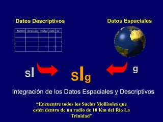 Integración de los Datos Espaciales y Descriptivos S I g Datos Espaciales g Datos Descriptivos S I “ Encuentre todos los Suelos Mollisoles que estén dentro de un radio de 10 Km del Río La Trinidad” Nombre  Dirección  Ciudad  Calle  Ca  