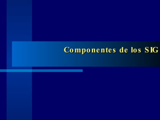 Componentes de los SIG 