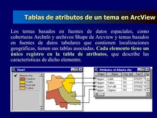 Tablas de atributos de un tema en ArcView Los temas basados en fuentes de datos espaciales, como coberturas ArcInfo y archivos Shape de Arcview y temas basados en fuentes de datos tabulares que contienen localizaciones geográficas, tienen sus tablas asociadas.  Cada elemento tiene un único registro en la tabla de atributos , que describe las características de dicho elemento.  