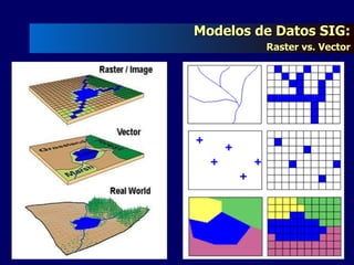 Modelos de Datos SIG:   Raster vs. Vector 