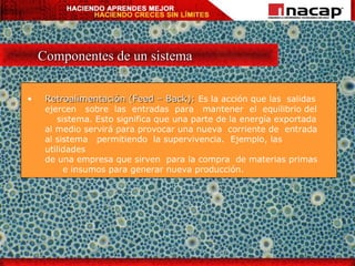 Componentes de un sistema Retroalimentación (Feed – Back):  Es la acción que las  salidas ejercen  sobre  las  entradas  para  mantener  el  equilibrio del  sistema. Esto significa que una parte de la energía exportada al medio servirá para provocar una nueva  corriente de  entrada al sistema  permitiendo  la supervivencia.  Ejemplo, las  utilidades  de una empresa que sirven  para la compra  de materias primas  e insumos para generar nueva producción. 