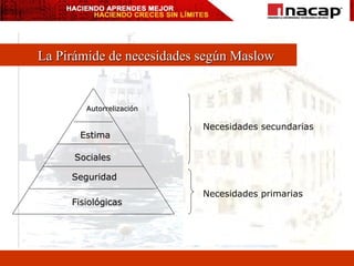 La Pirámide de necesidades según Maslow Fisiológicas Seguridad Sociales Estima Autorrelización Necesidades primarias Necesidades secundarias 