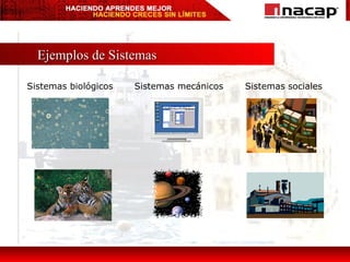 Ejemplos de Sistemas Sistemas biológicos Sistemas mecánicos Sistemas sociales 