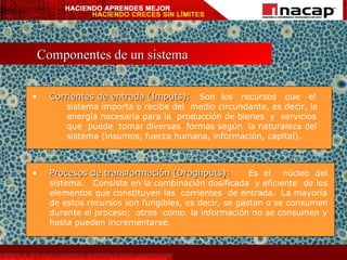 Componentes de un sistema Corrientes de entrada (Imputs):   Son  los  recursos  que  el  sistema importa o recibe del  medio circundante, es decir, la  energía necesaria para la  producción de bienes  y  servicios  que  puede  tomar diversas  formas según  la naturaleza del  sistema (insumos, fuerza humana, información, capital). Procesos de transformación (Droghputs):   Es  el  núcleo  del sistema.  Consiste en la combinación dosificada  y eficiente  de los elementos que constituyen las  corrientes  de entrada.  La mayoría  de estos recursos son fungibles, es decir, se gastan o se consumen durante el proceso;  otros  como  la información no se consumen y hasta pueden incrementarse. 