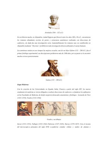 Aristóteles (384 – 322 a.C)
Se escribieron mucho, en Alejandría, ciudad Egipcia que floreció entre los años 300 y 30 a.C., encontraron
los romanos abundantes escritos de partes y estructuras anatómicas realizadas con disecciones de
cadáveres, sin duda fue una investigación seria. Lamentablemente los romanos una vez establecidos en
Alejandría mediante “Decretos” prohibieron toda investigación directa utilizando el cuerpo humano.
Los atenienses tenían en esos tiempos las mejores escuelas, uno de sus hijos Galeno (131 – 200 d.C.) fue el
primer fisiólogo experimental, sus descripciones perduraron más de 1300 años, por su puesto se le encontró
muchos errores posteriormente.
Galeno (131 – 200 d.C)
Etapa Moderna:
Con la creación de las Universidades en España, Italia, Francia a partir del siglo XIV, los nuevos
estudiantes de medicina se vieron obligados a realizar disecciones de cadáveres, se fundaron los anfiteatros
en las Facultades de Medicina, de donde surgieron destacados anatomistas y fisiólogos: Leonardo de Vinci
(1452–1519), Vesalio (1514–1564)
Vesalio y sus dibujos
Servet (1511–1553), Fallopio (1523–1562) Fabricius (1537–1619), Harvey (1578–1657). Con el invento
del microscopio a principios del siglo XVII, se pudieron estudiar células y tejidos de plantas y
 