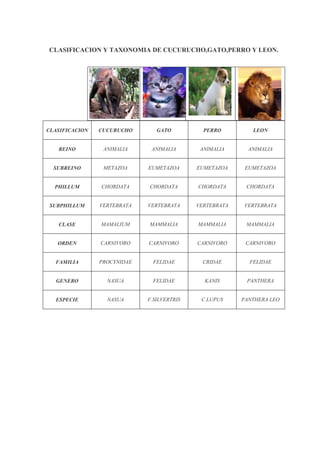 CLASIFICACION Y TAXONOMIA DE CUCURUCHO,GATO,PERRO Y LEON.
CLASIFICACION CUCURUCHO GATO PERRO LEON
REINO ANIMALIA ANIMALIA ANIMALIA ANIMALIA
SUBREINO METAZOA EUMETAZOA EUMETAZOA EUMETAZOA
PHILLUM CHORDATA CHORDATA CHORDATA CHORDATA
SUBPHILLUM VERTEBRATA VERTEBRATA VERTEBRATA VERTEBRATA
CLASE MAMALIUM MAMMALIA MAMMALIA MAMMALIA
ORDEN CARNIVORO CARNIVORO CARNIVORO CARNIVORO
FAMILIA PROCYNIDAE FELIDAE CRIDAE FELIDAE
GENERO NASUA FELIDAE KANIS PANTHERA
ESPECIE NASUA F.SILVERTRIS C.LUPUS PANTHERA LEO
 