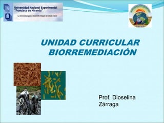UNIDAD CURRICULAR
BIORREMEDIACIÓN
Prof. Dioselina
Zárraga
 