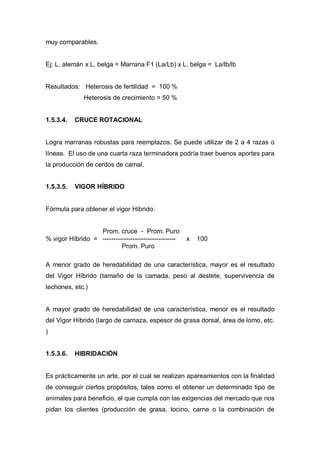 muy comparables.


Ej: L. alemán x L. belga = Marrana F1 (La/Lb) x L. belga = La/lb/lb


Resultados: Heterosis de fertilidad = 100 %
              Heterosis de crecimiento = 50 %


1.5.3.4.   CRUCE ROTACIONAL


Logra marranas robustas para reemplazos. Se puede utilizar de 2 a 4 razas o
líneas. El uso de una cuarta raza terminadora podría traer buenos aportes para
la producción de cerdos de camal.


1.5.3.5.   VIGOR HÍBRIDO


Fórmula para obtener el vigor Híbrido:


                  Prom. cruce - Prom. Puro
% vigor Híbrido = ----------------------------------   x   100
                           Prom. Puro

A menor grado de heredabilidad de una característica, mayor es el resultado
del Vigor Híbrido (tamaño de la camada, peso al destete, supervivencia de
lechones, etc.)


A mayor grado de heredabilidad de una característica, menor es el resultado
del Vigor Híbrido (largo de carnaza, espesor de grasa dorsal, área de lomo, etc.
)


1.5.3.6.   HIBRIDACIÓN


Es prácticamente un arte, por el cual se realizan apareamientos con la finalidad
de conseguir ciertos propósitos, tales como el obtener un determinado tipo de
animales para beneficio, el que cumpla con las exigencias del mercado que nos
pidan los clientes (producción de grasa, tocino, carne o la combinación de
 