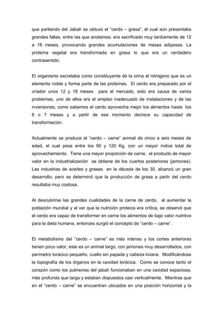 que partiendo del Jabalí se obtuvo el “cerdo – grasa”, él cual aún presentaba
grandes fallas, entre las que anotamos: era sacrificado muy tardíamente de 12
a 18 meses, provocando grandes acumulaciones de masas adiposas. La
proteína vegetal era transformada en grasa lo que era un verdadero
contrasentido.


El organismo excretaba como constituyente de la orina el nitrógeno que es un
elemento noble y forma parte de las proteínas. El cerdo era preparado por el
criador unos 12 y 18 meses       para el mercado, esto era causa de varios
problemas, uno de ellos era el empleo inadecuado de instalaciones y de las
inversiones, como sabemos el cerdo aprovecha mejor los alimentos hasta los
6 o 7 meses y a partir de ese momento decrece su capacidad de
transformación.


Actualmente se produce el “cerdo – carne” animal de cinco a seis meses de
edad, el cual pesa entre los 90 y 120 Kg. con un mayor índice total de
aprovechamiento. Tiene una mayor proporción de carne, el producto de mayor
valor en la industrialización se obtiene de los cuartos posteriores (jamones).
Las industrias de aceites y grasas en la década de los 30, alcanzó un gran
desarrollo, pero se determinó que la producción de grasa a partir del cerdo
resultaba muy costosa.


Al descubrirse las grandes cualidades de la carne de cerdo, al aumentar la
población mundial y al ver que la nutrición proteica era crítica, se observó que
el cerdo era capaz de transformar en carne los alimentos de bajo valor nutritivo
para la dieta humana, entonces surgió el concepto de “cerdo – carne”.


El metabolismo del “cerdo – carne” es más intenso y los cortes anteriores
tienen poco valor, este es un animal largo, con jamones muy desarrollados, con
perímetro torácico pequeño, cuello sin papada y cabeza liviana. Modificándose
la topografía de los órganos en la cavidad torácica. Como se conoce tanto el
corazón como los pulmones del jabalí funcionaban en una cavidad espaciosa,
más profunda que larga y estaban dispuestos casi verticalmente. Mientras que
en el “cerdo – carne” se encuentran ubicados en una posición horizontal y la
 