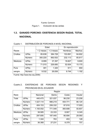 Fuente: Cornevin
                      Figura 1.          Evolución de las cerdas


1.3. GANADO PORCINO: EXISTENCIA SEGÚN RAZAS, TOTAL
        NACIONAL


Cuadro 1.     DISTRIBUCIÓN DE PORCINOS A NIVEL NACIONAL
                                          Edad                 En reproducción
Razas                        < 2 meses        > 2 meses        Hembras      Machos
Criollos      UPAs                  85.638        384.728      153.891      64.602
              Número            300.220           892.832      232.113      85.817
Mestizos      UPAs                   8.999         37.397          18.827    9.600
              Número                71.015        226.680          52.654   15.175
Pura          UPAs                    391           1.320             911        650
sangre        Número                 9.532         26.836           9.744    1.192
Fuente: http://www.fao.org (2006)




Cuadro 2.     EXISTENCIAS           DE     PORCINOS         SEGÚN     REGIONES    Y
              PROVINCIAS EN EL ECUADOR
                                                     Región
Raza                       Nacional               Sierra           Costa    Insular
Total       UPAs            440.475              321.037       96.230       23.208
            Número        1.527.114              986.219      454.771       86.124
Criollos    UPAs            404.153              299.332       87.816       17.005
            Número        1.193.052              771.548      365.698       55.807
Mestizos UPAs                38.585               23.333           8.907     6.345
            Número          297.695              187.440       80.694       29.560
Pura        UPAs               1.344                763             453          128
sangre      Número           36.368               27.231           8.379         757
 