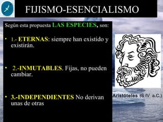 FIJISMO-ESENCIALISMO
Según esta propuesta LAS ESPECIES, son:
• 1.- ETERNAS: siempre han existido y
existirán.
• 2.-INMUTABLES. Fijas, no pueden
cambiar.
• 3.-INDEPENDIENTES No derivan
unas de otras
Aristóteles (S IV a.C.)
 