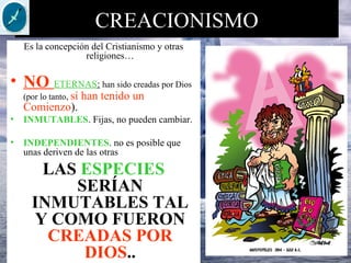 CREACIONISMO
Es la concepción del Cristianismo y otras
religiones…
• NO ETERNAS: han sido creadas por Dios
(por lo tanto, sí han tenido un
Comienzo).
• INMUTABLES. Fijas, no pueden cambiar.
• INDEPENDIENTES. no es posible que
unas deriven de las otras
LAS ESPECIES
SERÍAN
INMUTABLES TAL
Y COMO FUERON
CREADAS POR
DIOS..
 
