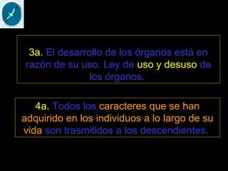 3a. El desarrollo de los órganos está en
razón de su uso. Ley de uso y desuso de
los órganos.
4a. Todos los caracteres que se han
adquirido en los individuos a lo largo de su
vida son trasmitidos a los descendientes.
 