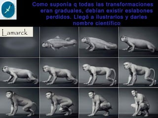 Lamarck
Como suponía q todas las transformaciones
eran graduales, debían existir eslabones
perdidos. Llegó a ilustrarlos y darles
nombre científico
 