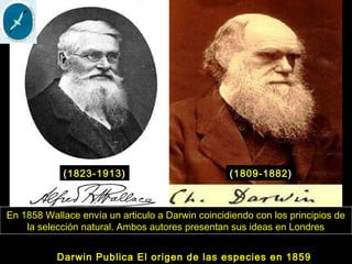 Darwin Publica El origen de las especies en 1859
(1809-1882)(1823-1913)
En 1858 Wallace envía un articulo a Darwin coincidiendo con los principios de
la selección natural. Ambos autores presentan sus ideas en Londres
 
