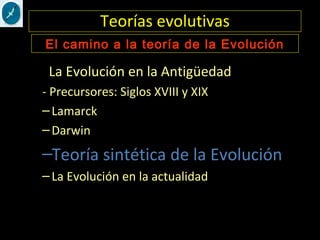 Teorías evolutivas
- La Evolución en la Antigüedad
- Precursores: Siglos XVIII y XIX
–Lamarck
–Darwin
–Teoría sintética de la Evolución
–La Evolución en la actualidad
El camino a la teoría de la Evolución
 
