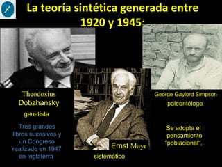 La teoría sintética generada entre
1920 y 1945:
Theodosius
Dobzhansky
George Gaylord Simpson
Ernst Mayr
Tres grandes
libros sucesivos y
un Congreso
realizado en 1947
en Inglaterra
genetista
paleontólogo
sistemático
Se adopta el
pensamiento
"poblacional",
 