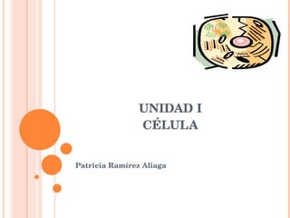 UNIDAD I CÉLULA Patricia Ramírez Aliaga 